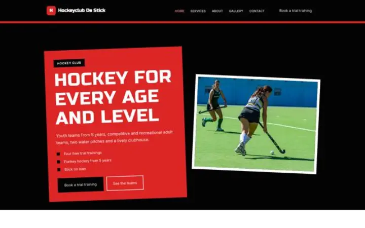 Site web pour club de hockey