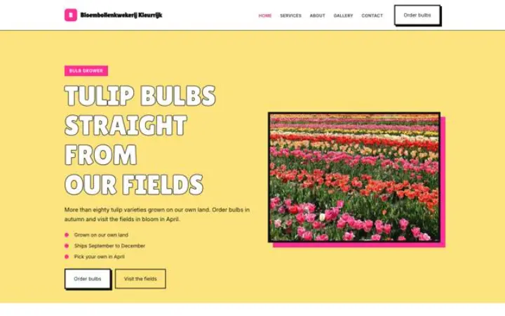 Site web pour producteur de bulbes de tulipes