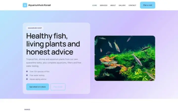 Site web pour magasin d'aquariophilie